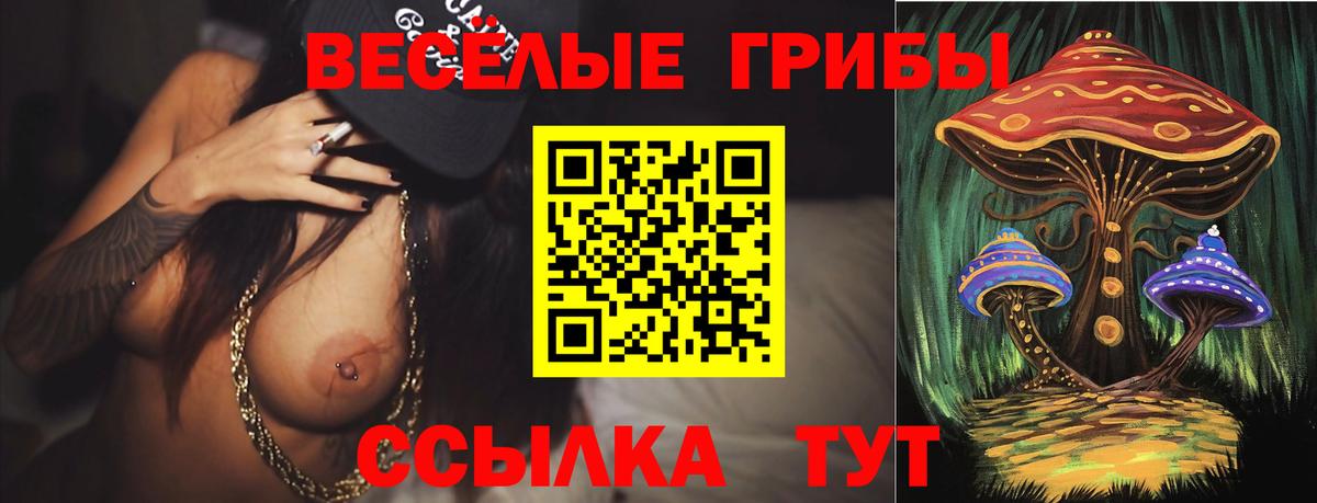 Псилоцибиновые грибы Cubensis Канск