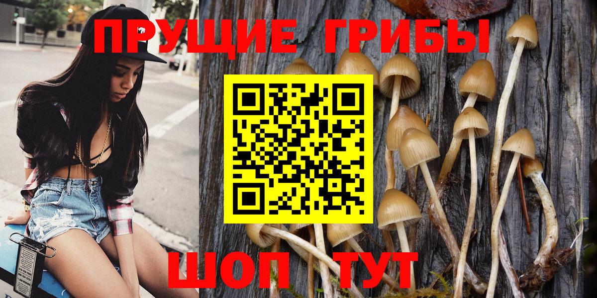 Псилоцибиновые грибы MAGIC MUSHROOMS  Вход с VPN  закладки  Канск 